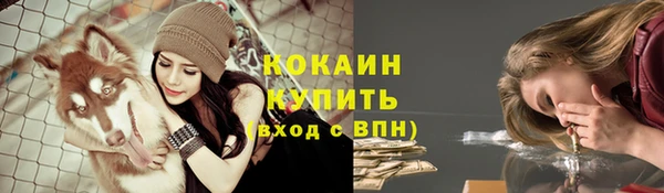 твердый Богданович
