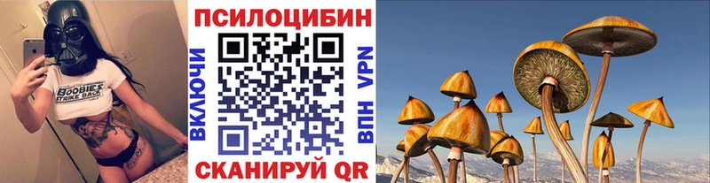 Купить закладки  Прохладный  Галлюциногенные грибы Psilocybe 