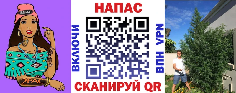 Купить закладки  Прохладный  Конопля Ganja 